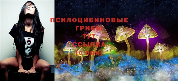 метадон Абаза