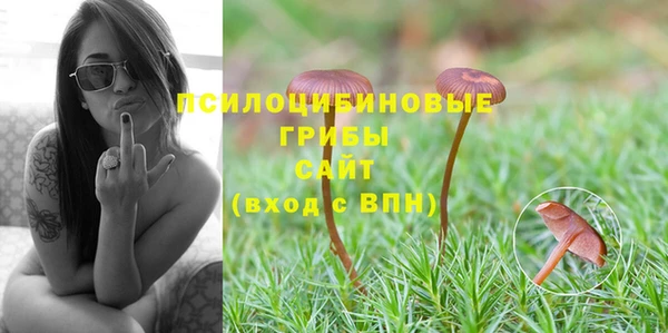мет Алексин