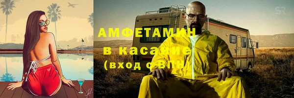 ГАЛЛЮЦИНОГЕННЫЕ ГРИБЫ Алзамай