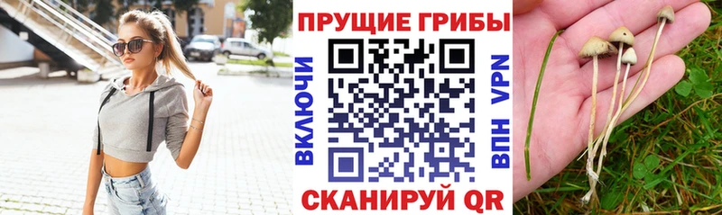 Псилоцибиновые грибы Psilocybe  omg ТОР  Углегорск 